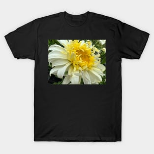 Dahlia Abundant Joy T-Shirt